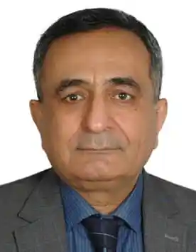 rof. (Dr.) Hamid Saremi